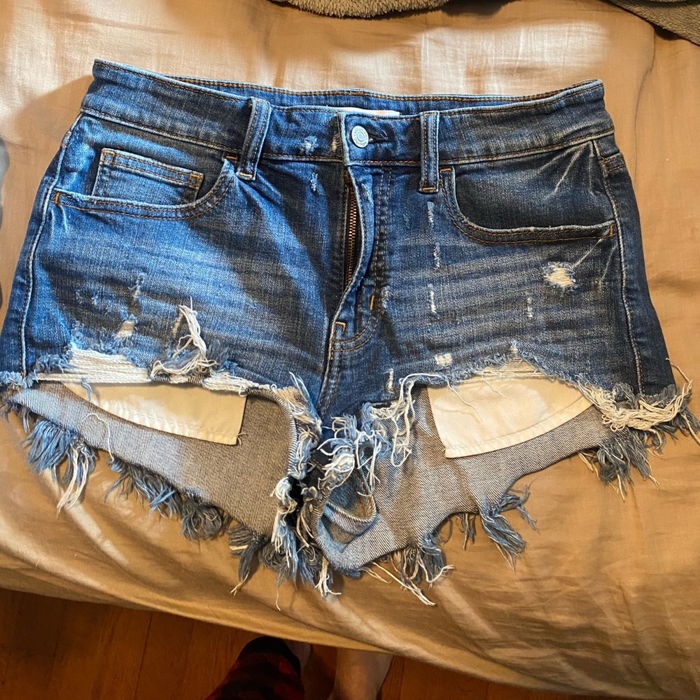 Buckle Willow and Root Shorts